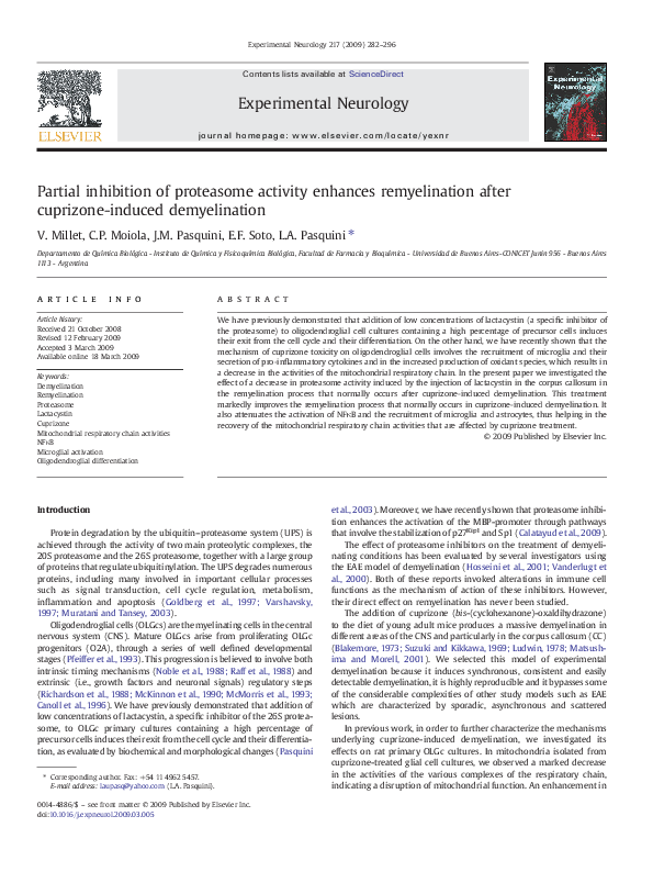 (PDF) Partial inhibition of proteasome activity enhances remyelination ...
