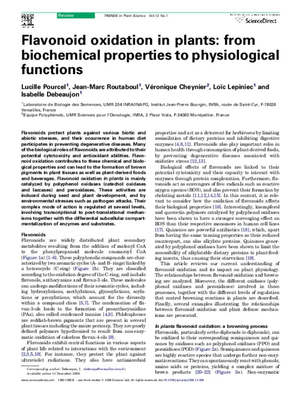 (PDF) Flavonoid oxidation in plants from biochemical properties to
