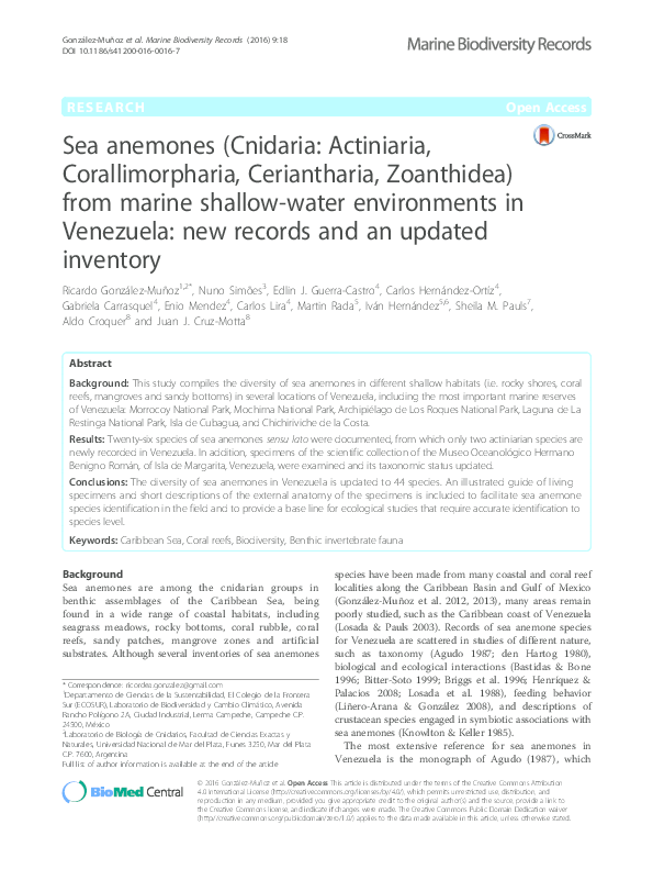 What do clownfish eat image