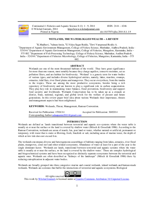 Waterlogged research paper image