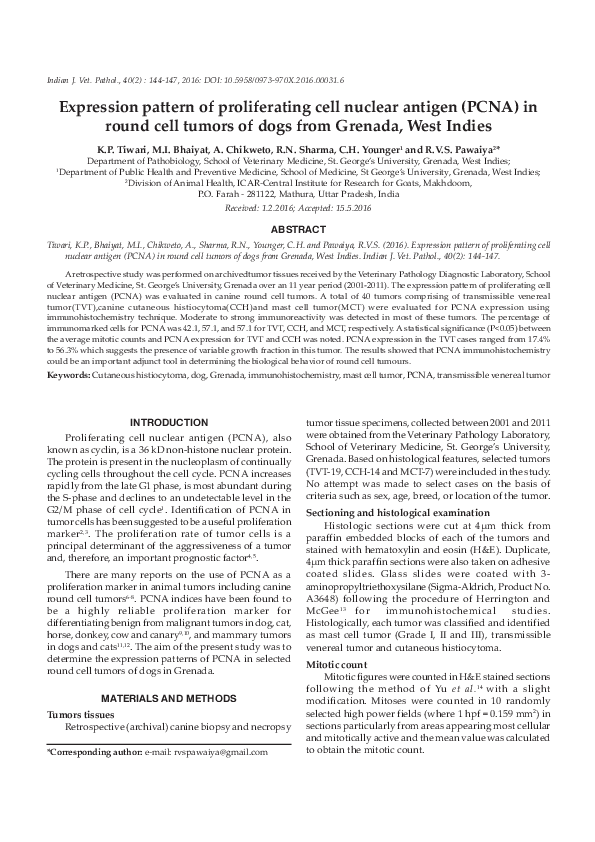 (PDF) Expression pattern of proliferating cell nuclear antigen (PCNA ...