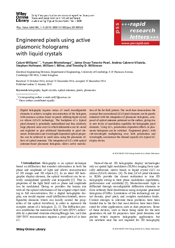(PDF) Engineered pixels using active plasmonic holograms with liquid ...