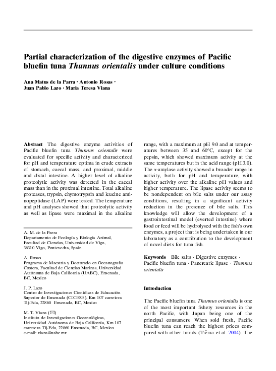 World record bluefin tuna picture