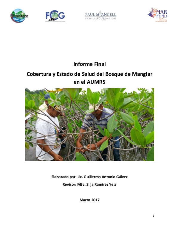 (PDF) Informe Final Cobertura y Estado de Salud del Bosque de Manglar