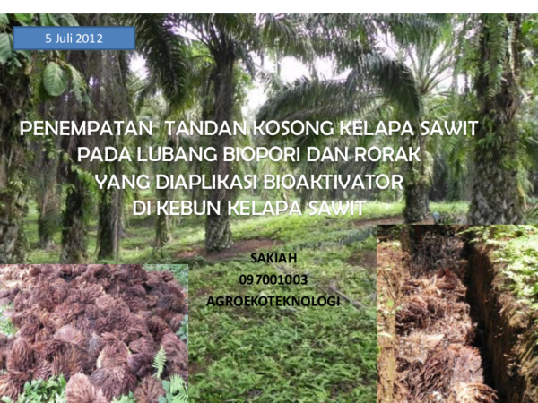 (PDF) PENEMPATAN TANDAN KOSONG KELAPA SAWIT PADA LUBANG BIOPORI DAN ...