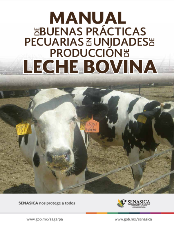 PDF) LECHE BOVINA LECHE BOVINA