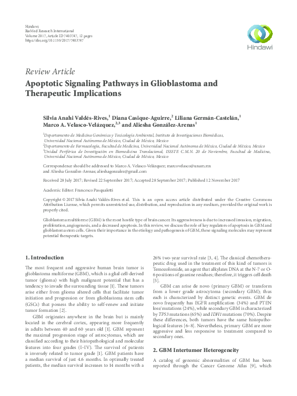 (PDF) Apoptotic Signaling Pathways in Glioblastoma and Therapeutic ...