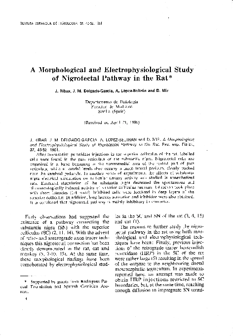 (PDF) A morphological and electrophysiological study of nigrotectal ...