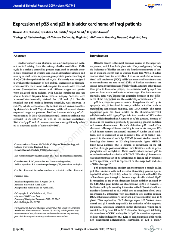 (PDF) Expression of P53 and P21 in Bladder Carcinoma of Iraqi Patients