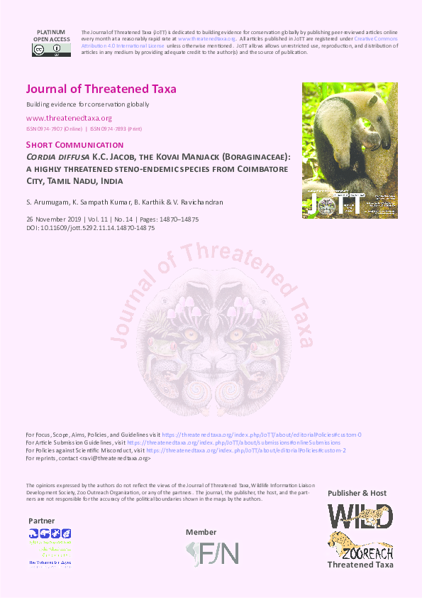 (PDF) Cordia diffusa K.C. Jacob, the Kovai Manjack (Boraginaceae) a