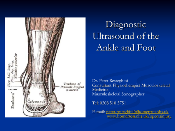 (PDF) Diagnostic Ultrasound of the Ankle and Foot