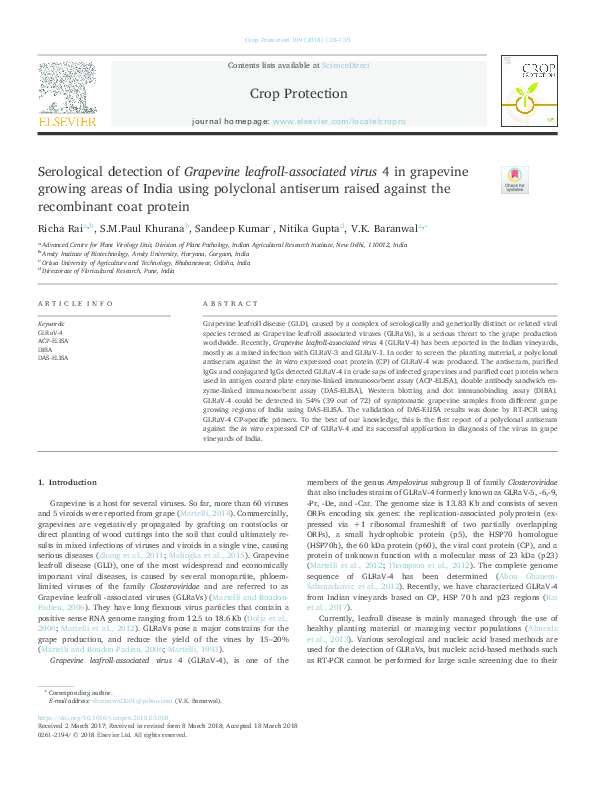 (PDF) Serological detection of Grapevine leafroll-associated virus 4 in ...