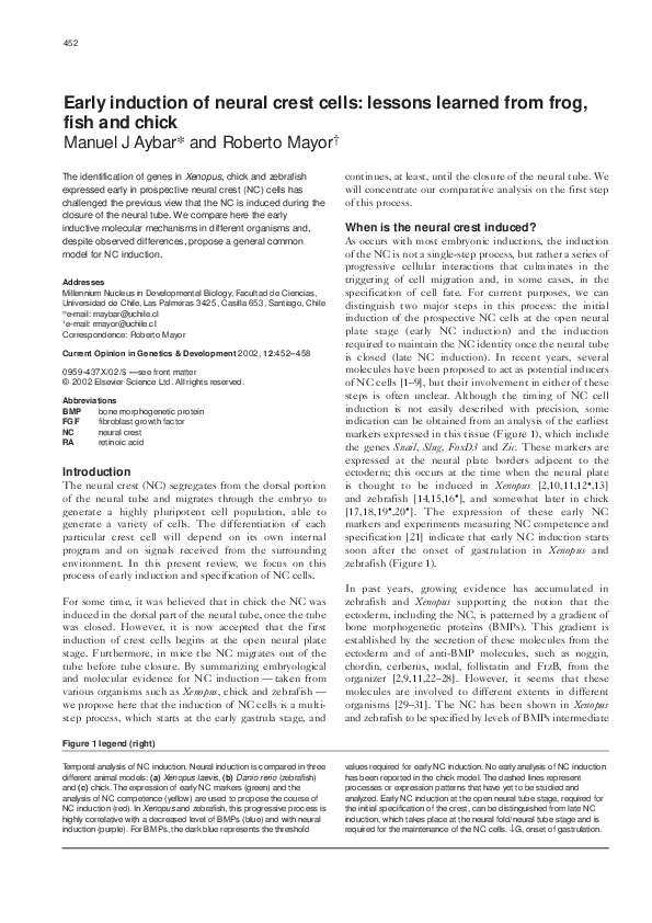 (PDF) Early induction of neural crest cells: lessons learned from frog ...