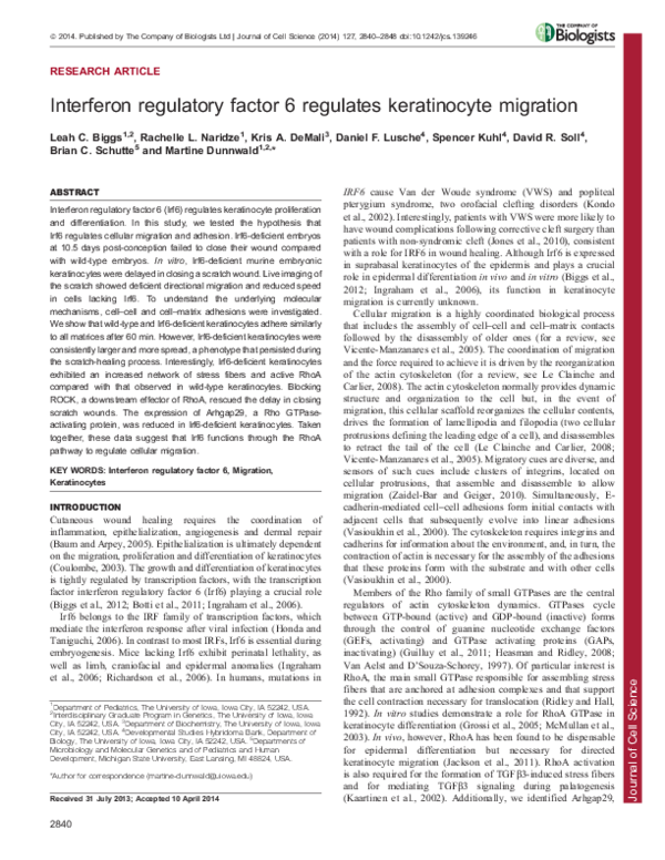 (PDF) Interferon regulatory factor 6 regulates keratinocyte migration