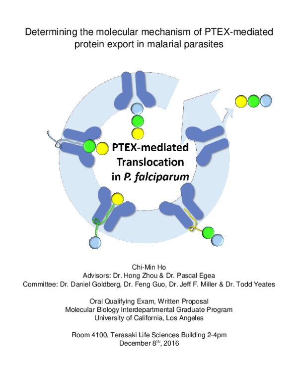 (PDF) Determining the molecular mechanism of PTEX-mediated protein ...