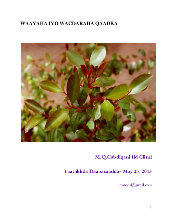 Kaasino Casino Interface Visual