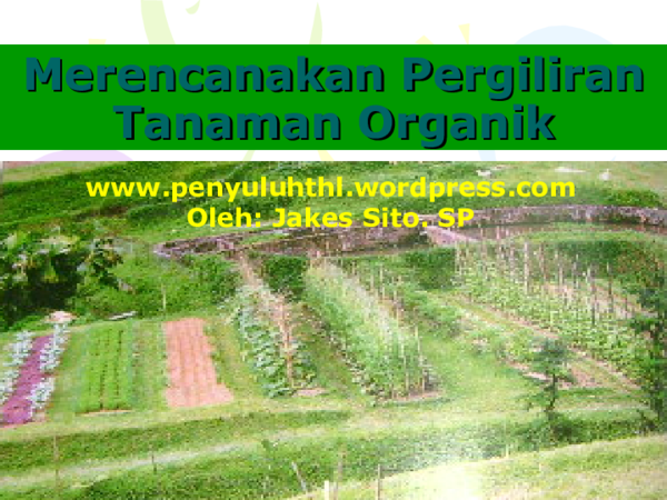 Rencana pergiliran tanaman