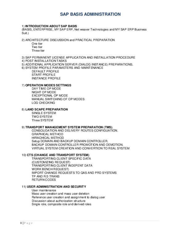 (DOC) SAP Basis Content