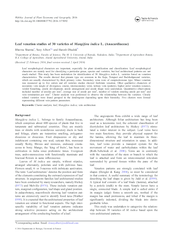 (PDF) Leaf venation studies of 30 varieties of Mangifera indica L