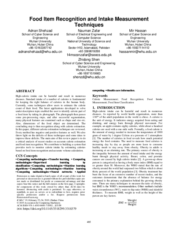 (PDF) Food Item Recognition and Intake Measurement Techniques