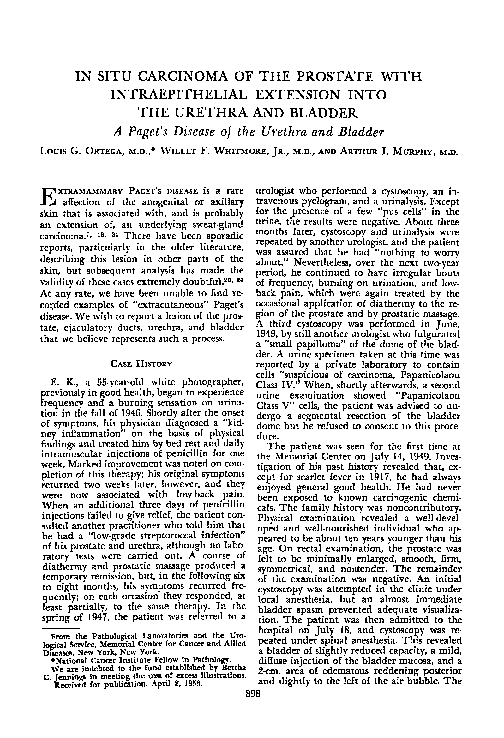 (PDF) In situ carcinoma of the prostate with intraepithelial extension