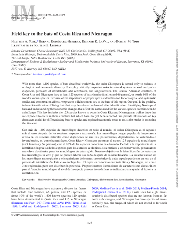 (PDF) Field Key to the Bats of Costa Rica and Nicaragua | Heather York
