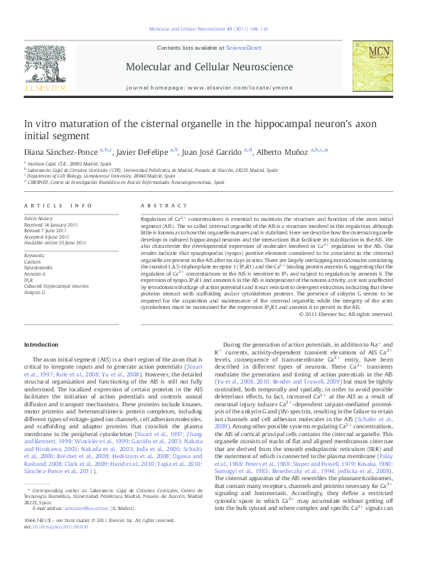 (PDF) In vitro maturation of the cisternal organelle in the hippocampal ...