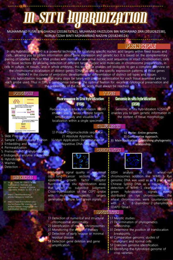 (PDF) In Situ Hybridization