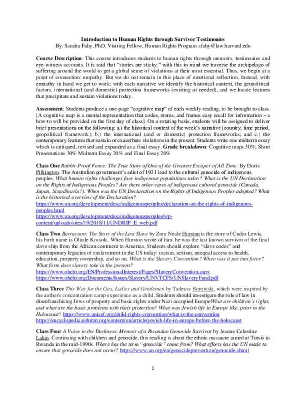 (PDF) Human Rights through Survivor Testimonies | Sandra Fahy ...