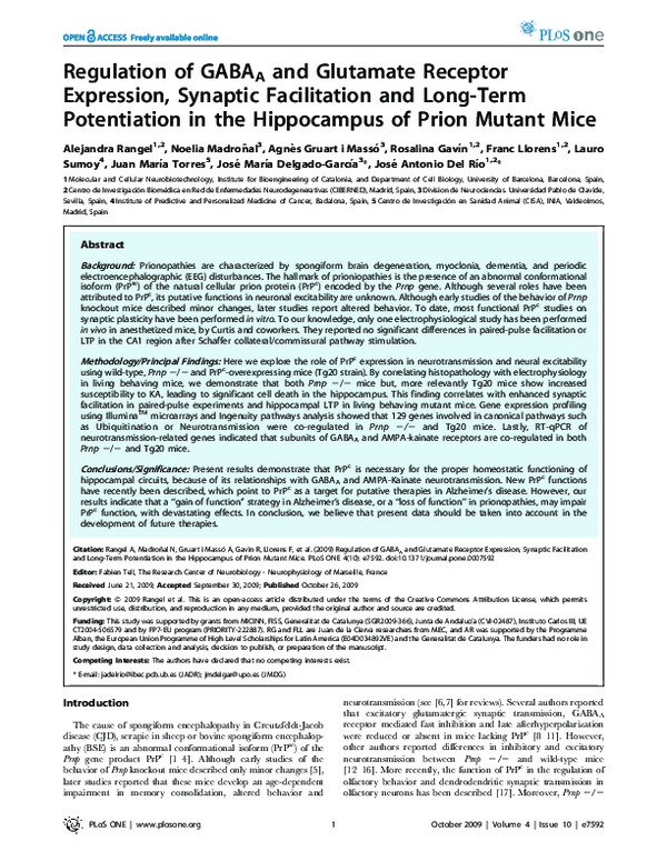 (PDF) Regulation of GABA A and Glutamate Receptor Expression, Synaptic ...