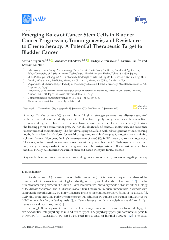 (PDF) Emerging Roles of Cancer Stem Cells in Bladder Cancer Progression ...