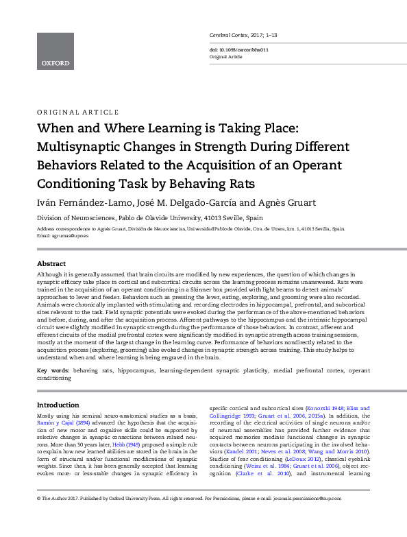 (PDF) When and Where Learning is Taking Place: Multisynaptic Changes in ...