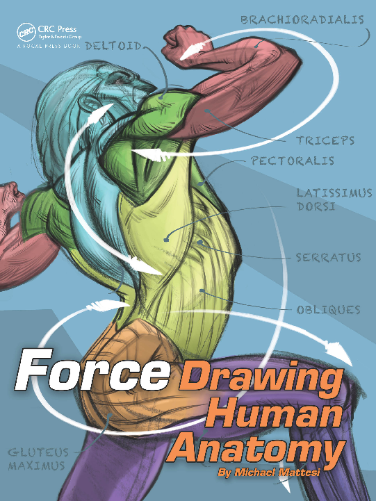 (PDF) Drawing Human Anatomy