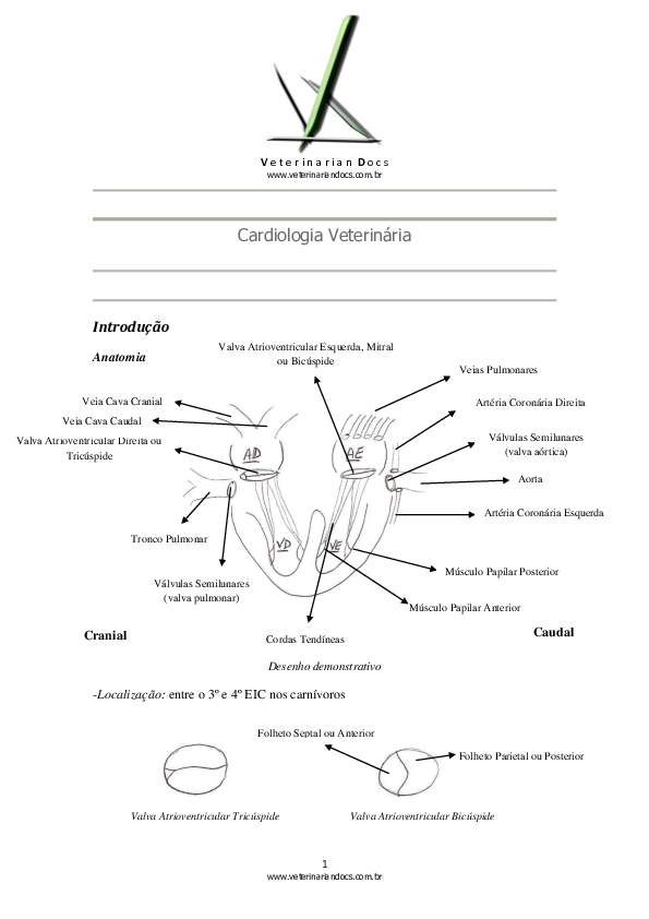 Cardiologia Veterinária