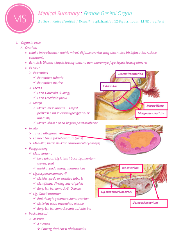 Seksual godaklar porno onlayn