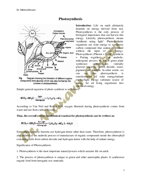 (PDF) Basics of Photosynthesis