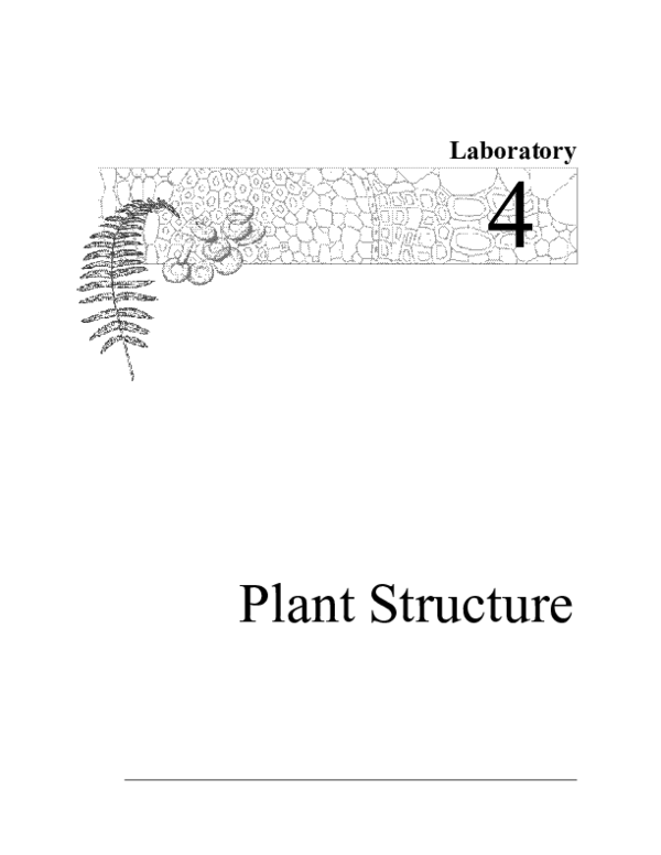 (PDF) Laboratory 4 Plant Structure