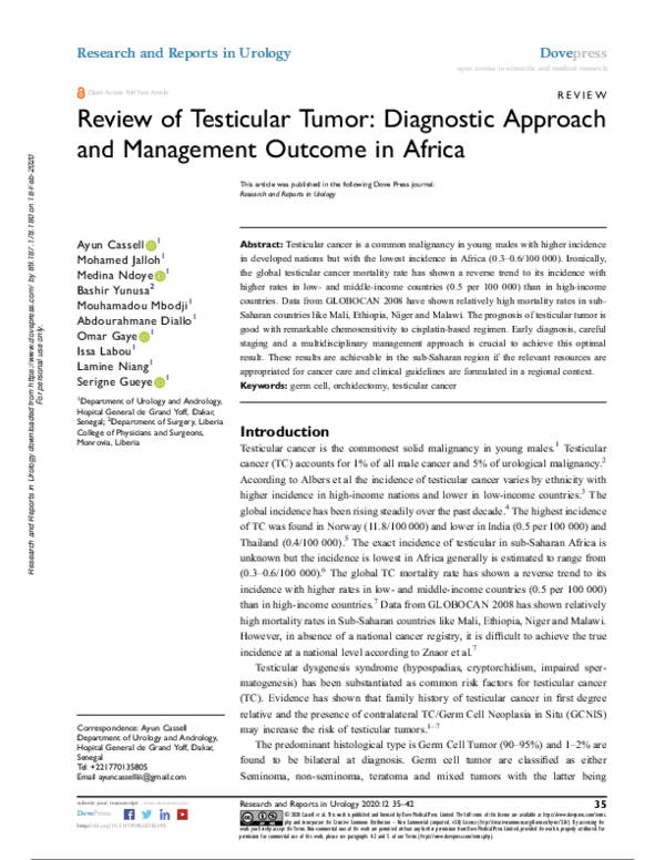 (PDF) Review of Testicular Tumor Diagnostic Approach and Management