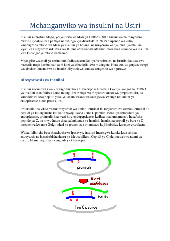 Insulin synthesis slideshare image
