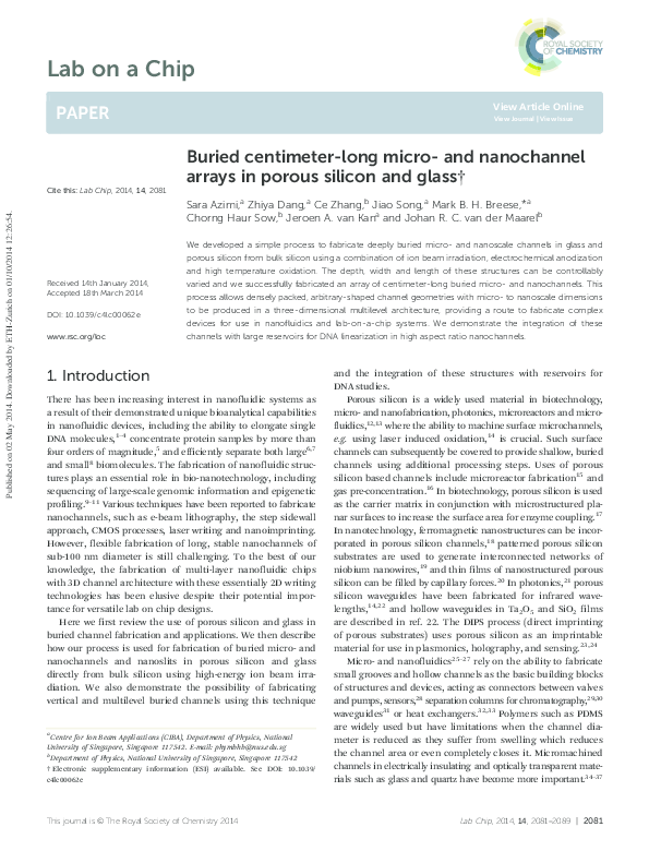 (PDF) Lab on a Chip PAPER Buried centimeter-long micro-and nanochannel ...