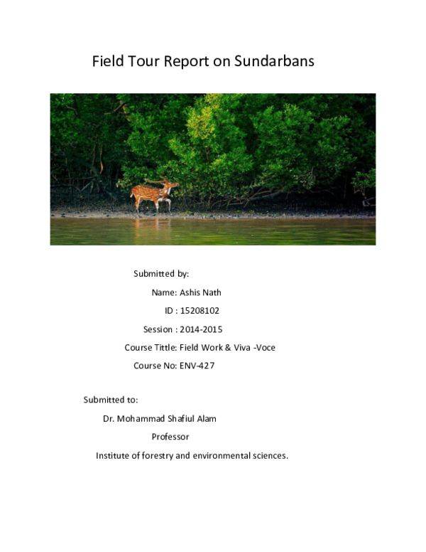 Sundarban paragraph with bangla meaning image