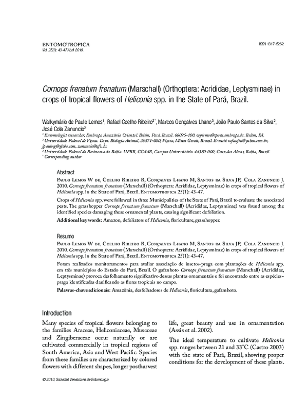 (PDF) Cornops frenatum frenatum (Marschall)(Orthoptera: Acrididae ...