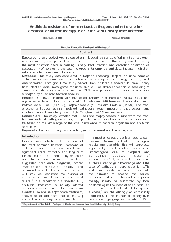 Empirical report example picture