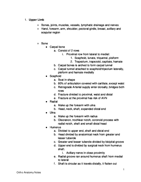 (DOC) Ortho anatomy notes
