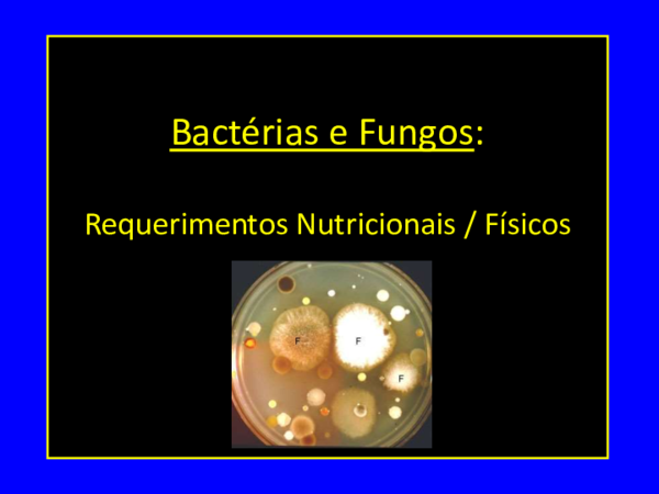 (PDF) Bactérias e Fungos