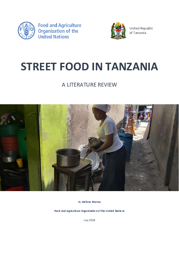 (DOC) STREET FOOD IN TANZANIA A literature review Stefano Marras
