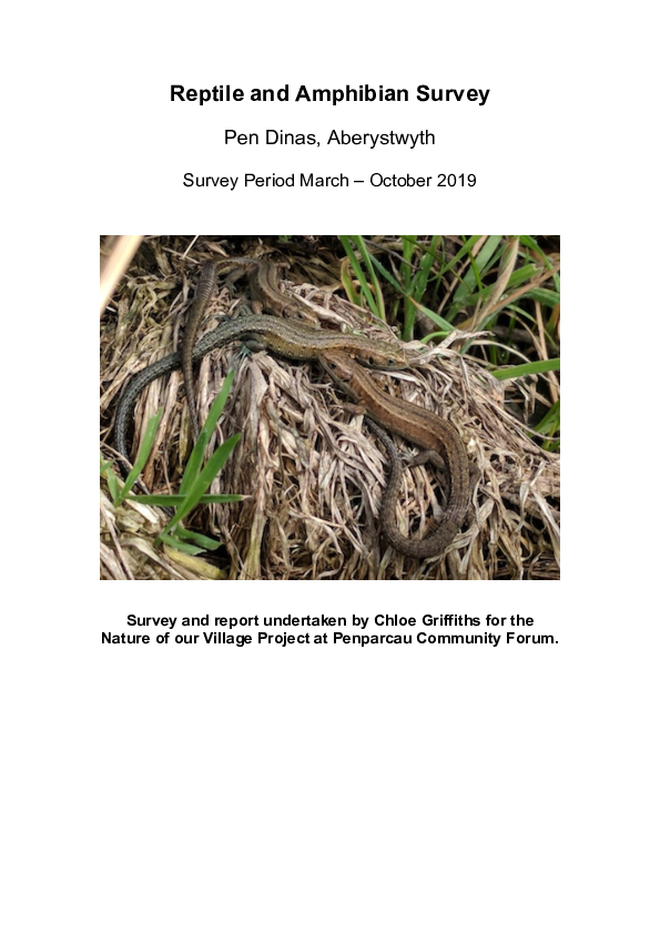 (PDF) Reptile and Amphibian Survey, Penparcau 2019 | Chloe Griffiths