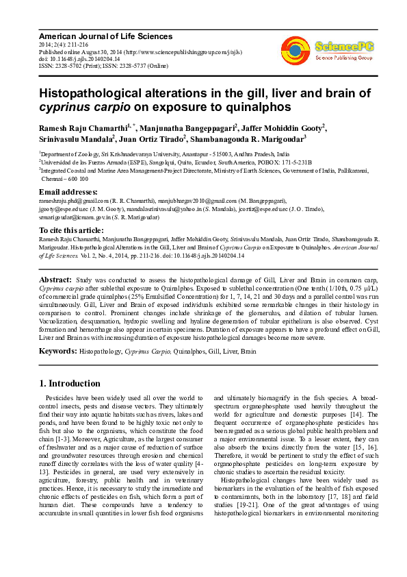 (PDF) Histopathological Alterations in the Gill, Liver and Brain of ...