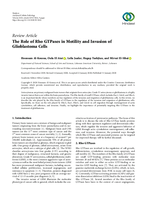 (PDF) The Role of Rho GTPases in Motility and Invasion of Glioblastoma ...