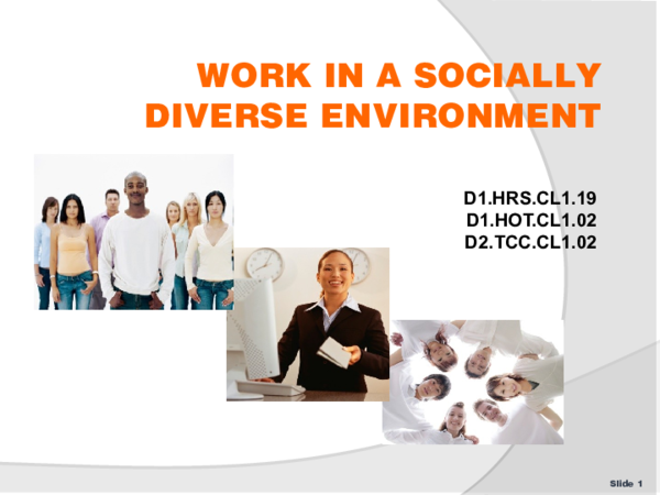 Ppt Work In A Socially Diverse Environment